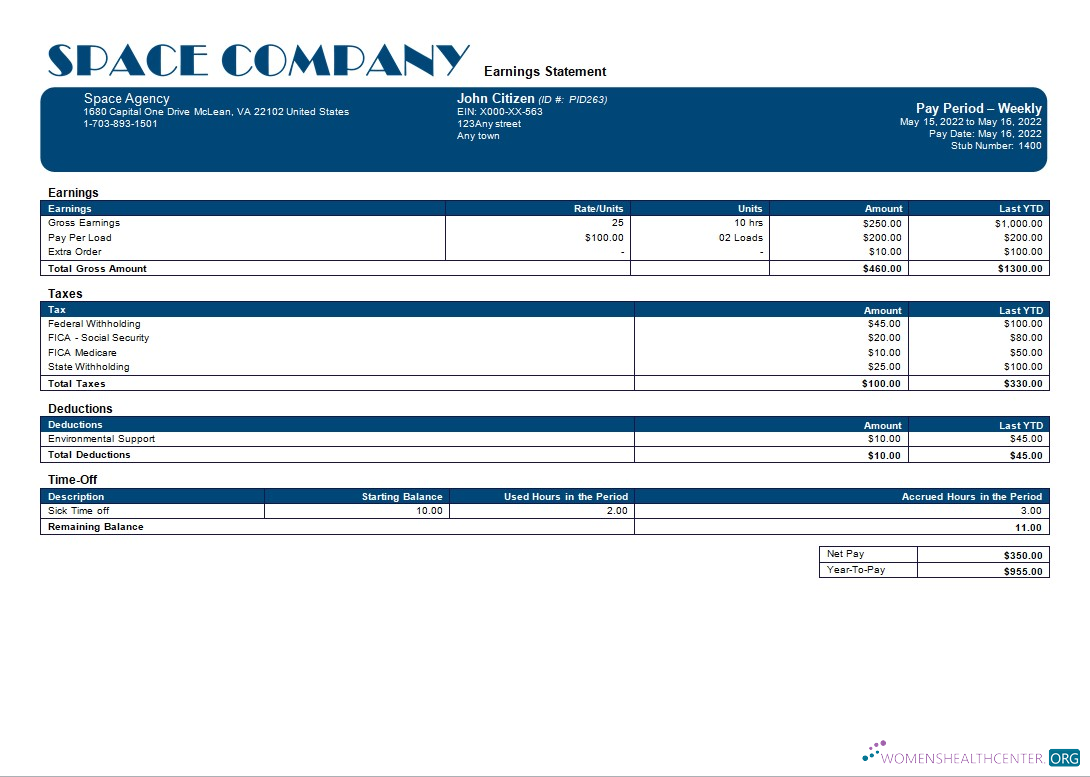 Download space company editable payslip template in Word and PDF formats Photoshop template